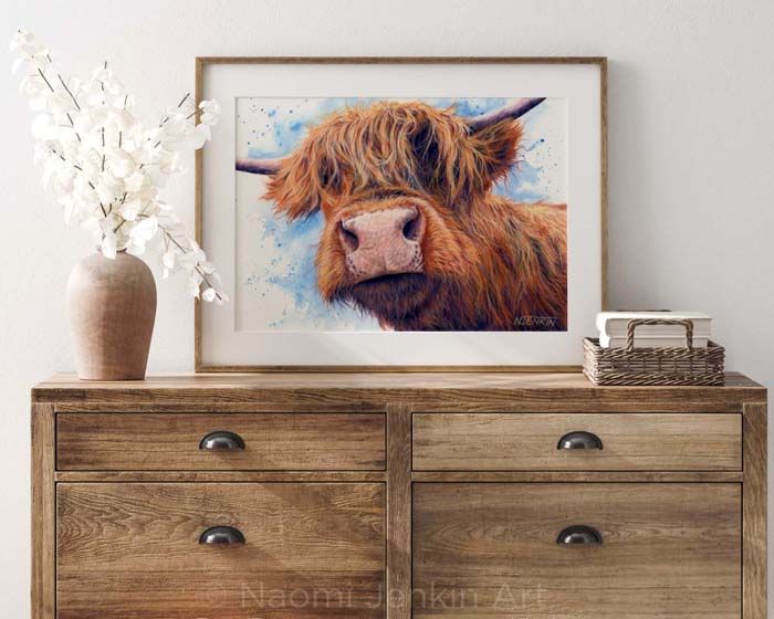 Highland Cow art by Naomi Jenkin. 