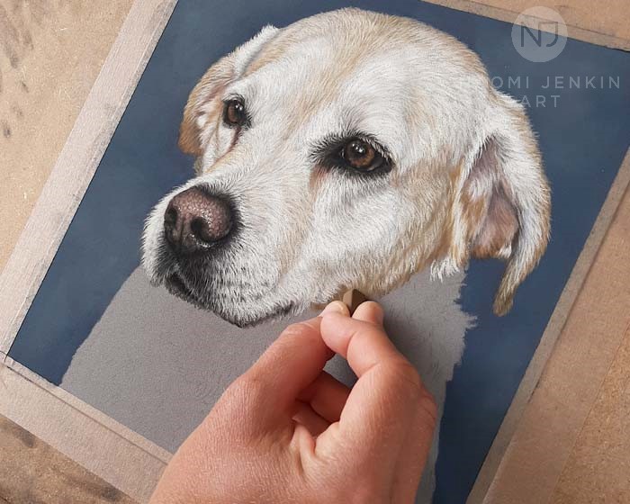 Dog portrait artist Naomi Jenkin drawing portrait of golden Labrador Kistler
