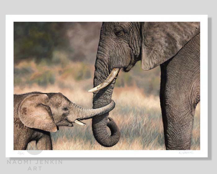 African Savanna elephant limited edition fine art print.