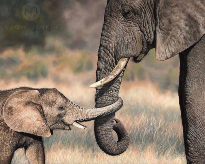 Elephant painting by British wildlife artist Naomi Jenkin Art. 