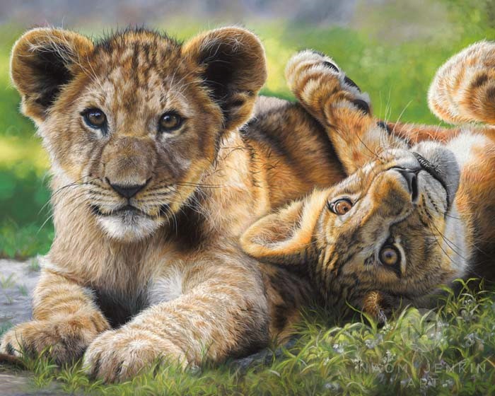 Lion portrait by wildlife artist Naomi Jenkin Art. 
