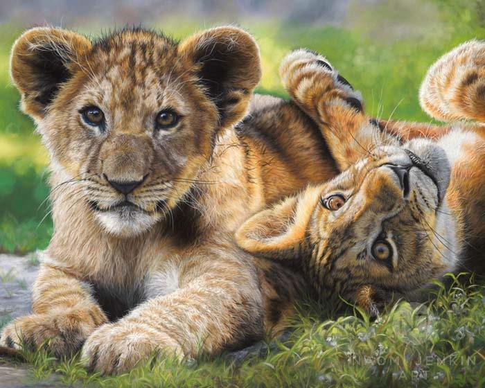 Lion painting by wildlife artist Naomi Jenkin Art. 
