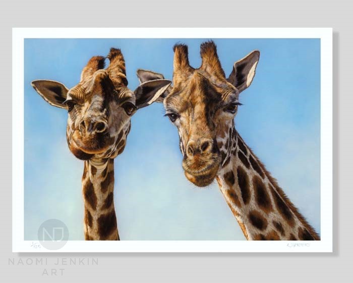 Giraffe art print by Naomi Jenkin Art. Limited edition giclée print. 