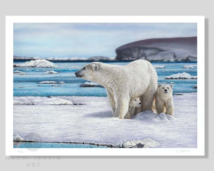 Polar bear limited edition fine art print.