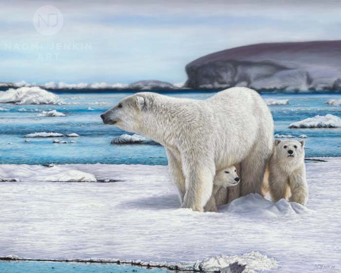 Polar bear painting by  Naomi Jenkin Art. 