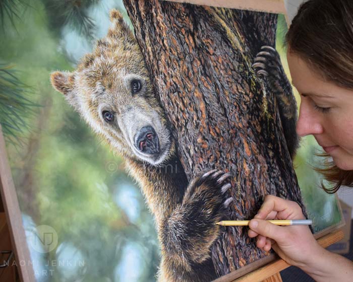 Wildlife art drawing of a brown bear by Naomi Jenkin. 