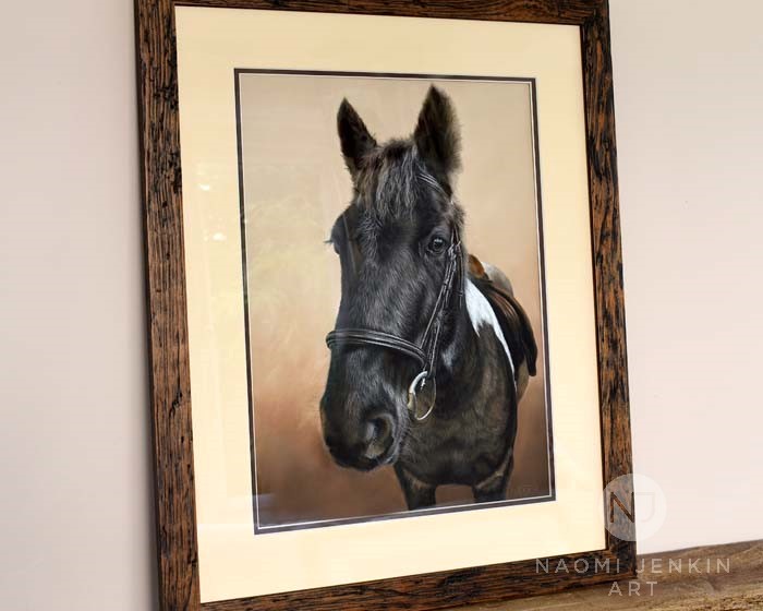 Framed portrait of Prancer the moorland pony