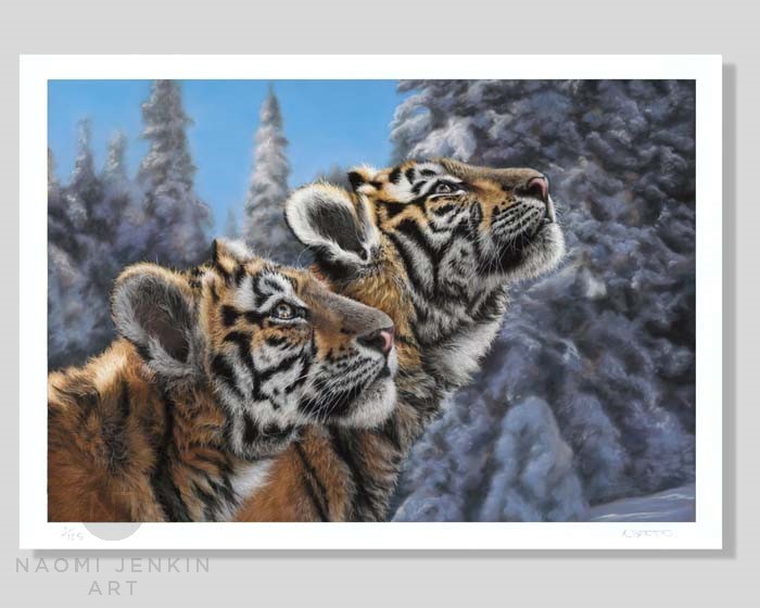 Amur tigers limited edition fine art print.