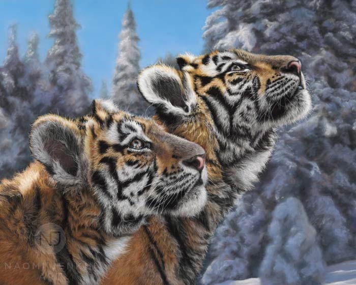 Amur tiger painting by  Naomi Jenkin Art. 