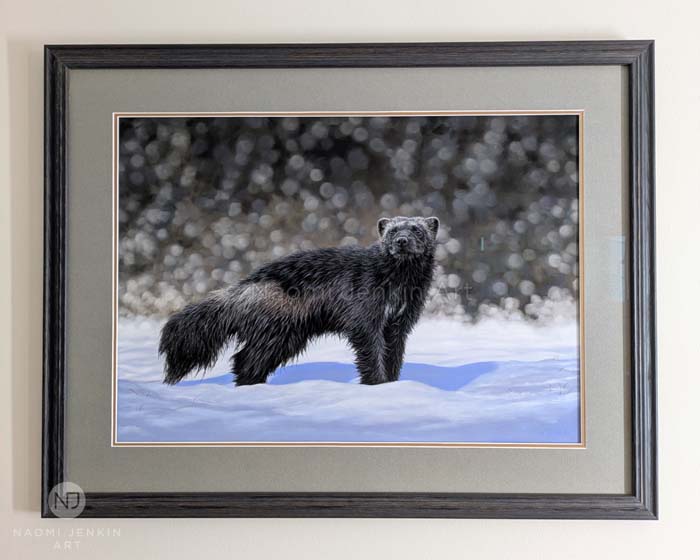 Wolverine painting by UK wildlife artist Naomi Jenkin