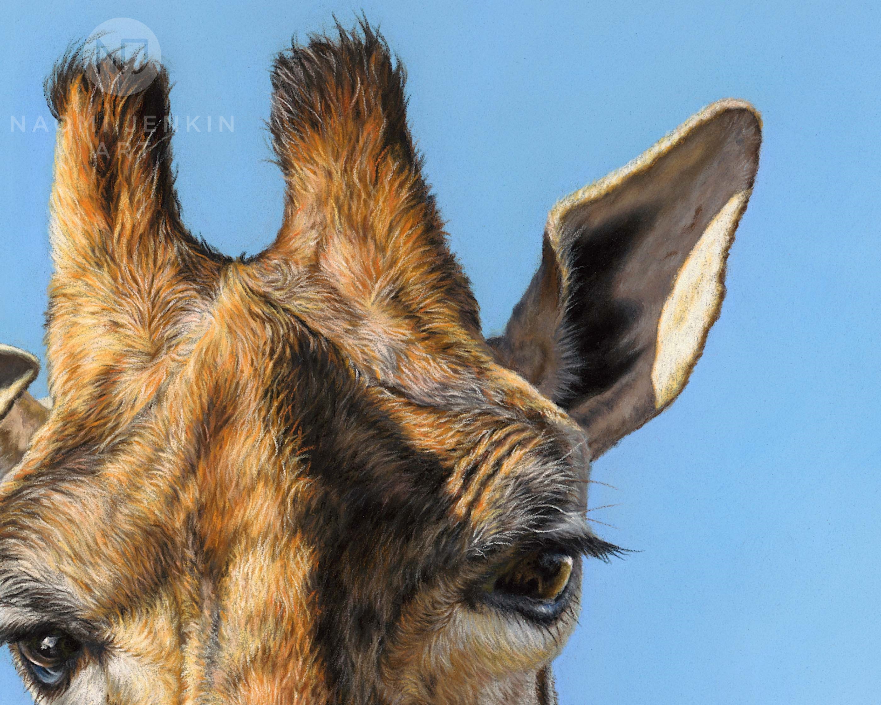 Close up of giraffe art by animal artist Naomi Jenkin. 