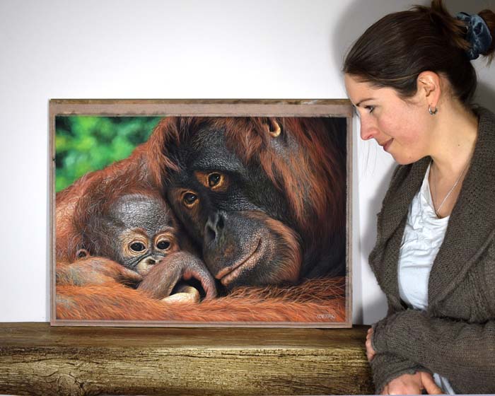 Wildlife artist of the year 2022 shortlist.